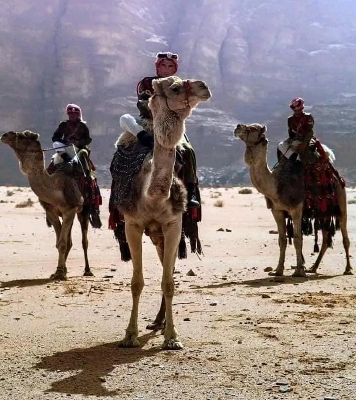 Enad Desert Camp Wadi Rum Eksteriør billede
