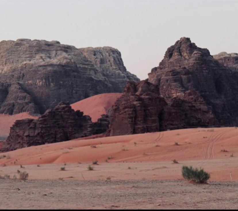 Enad Desert Camp Wadi Rum Eksteriør billede