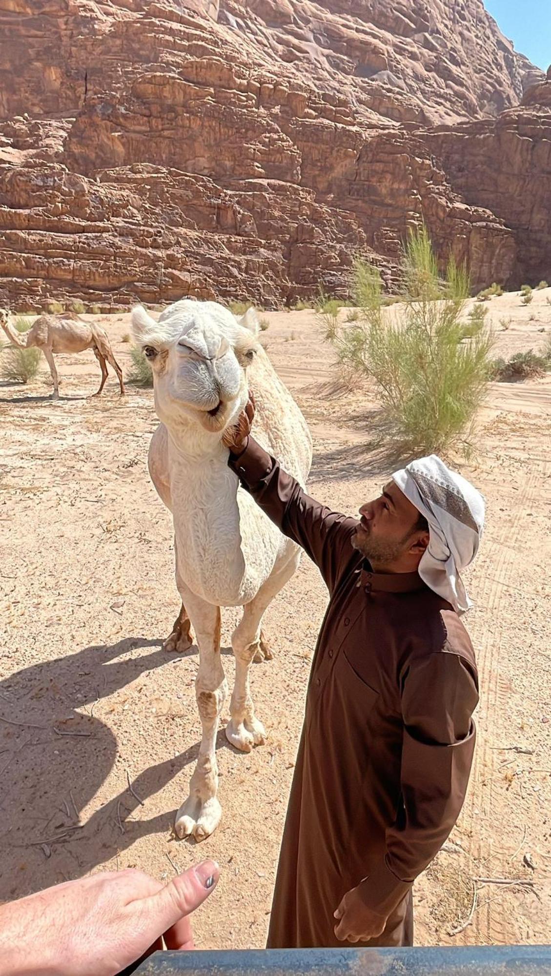 Enad Desert Camp Wadi Rum Eksteriør billede